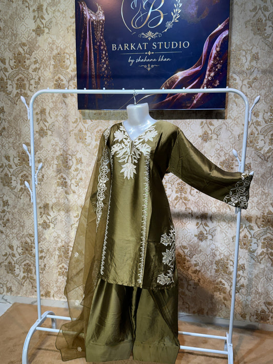 Farshi Organza Dress
