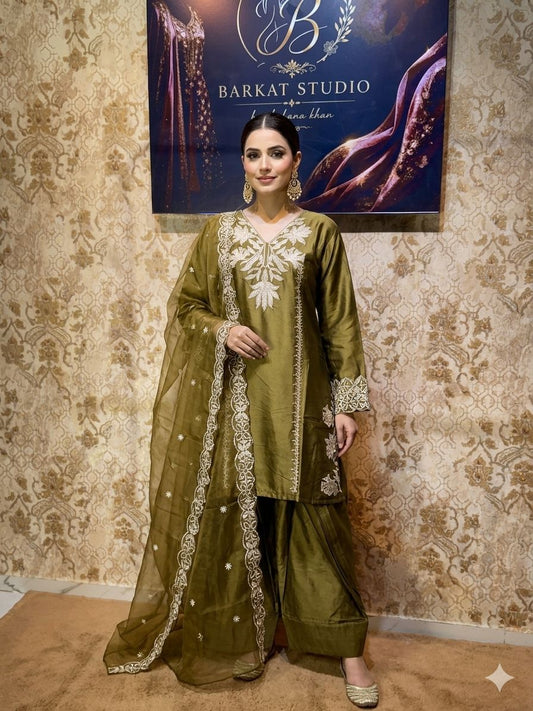 Farshi Organza Dress