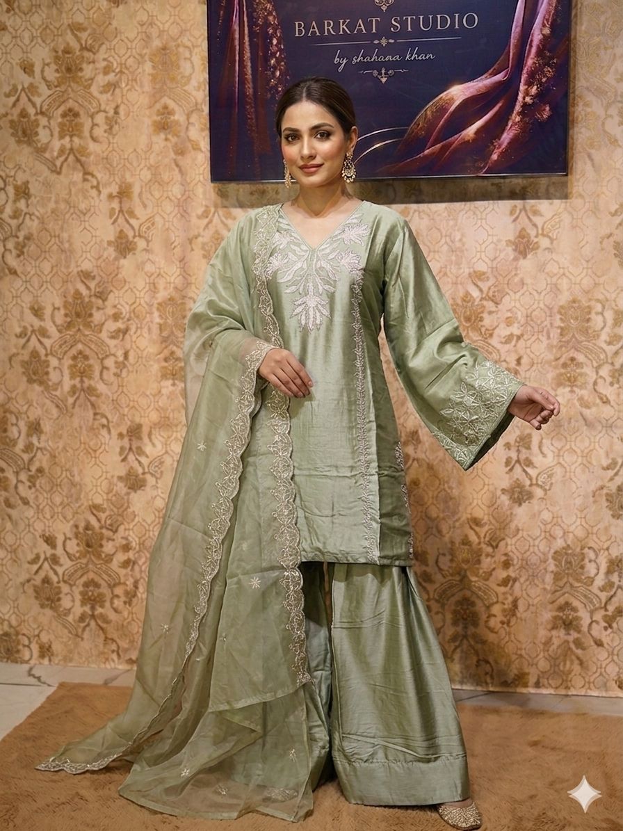 Farshi Organza Dress